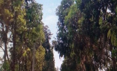 ¡La Mejor Oportunidad de Tener Tu Casa de Campo en Pucusana!