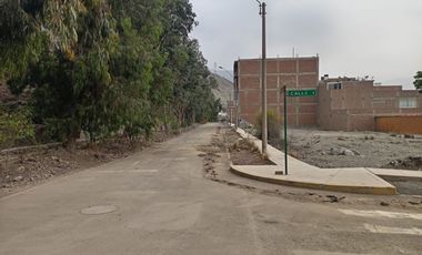 Terreno En Venta - Mirasol De Huampani Vi