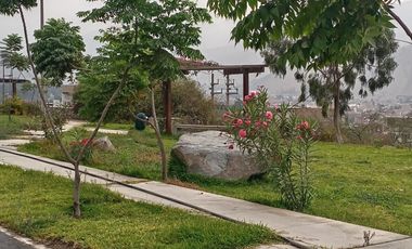 Terreno En Venta - Mirasol De Huampani Vi