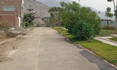 Terreno En Venta - Mirasol De Huampani Vi