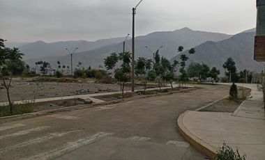 Terreno En Venta - Mirasol De Huampani Vi