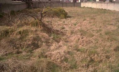 Terreno en renta en San Lorenzo Tepaltitlán, $40 por metro cuadrado