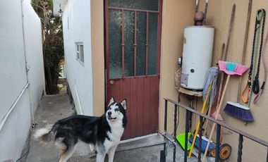Se vende Casa de una sola planta con 2 recámaras en  200 m2 de construcción. Colonia El Empleado, Cuernavaca, Mor.