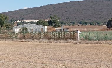 Venta de terreno en Tolcayuca a unos pasos del centro.