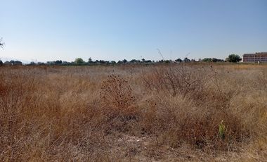 Venta de terreno en Tolcayuca a unos pasos del centro.