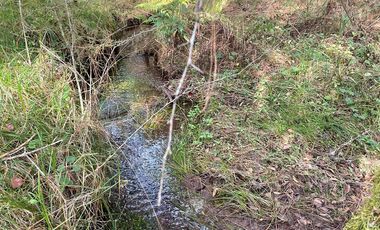 VENTA DE TERRENO POR PARTES EN HERMOSO BOSQUE EN EL ESTADO DE HIDALGO.