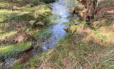 VENTA DE TERRENO POR PARTES EN HERMOSO BOSQUE EN EL ESTADO DE HIDALGO.