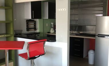 Departamento Amueblado en Renta – Fraccionamiento Santa Elena, San Mateo Atenco, METEPEC