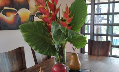 VENTA FINCA LA MESA, CUNDINAMARCA