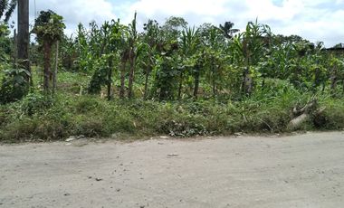 SE VENDE LOTE DE TERRENO DE  2.484 M2. SANTO DOMINGO - ECUADOR