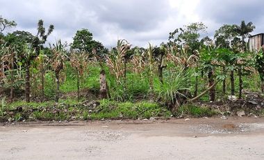 SE VENDE LOTE DE TERRENO DE  2.484 M2. SANTO DOMINGO - ECUADOR