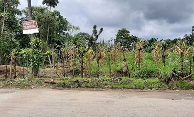 SE VENDE LOTE DE TERRENO DE  2.484 M2. SANTO DOMINGO - ECUADOR