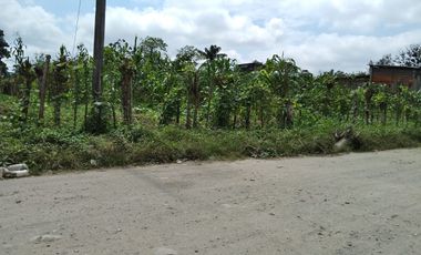 SE VENDE LOTE DE TERRENO DE  2.484 M2. SANTO DOMINGO - ECUADOR