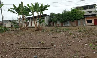 SE VENDE HERMOSO LOTE DE TERRENO 635,04 M2. QUINSALOMA - LOS RIOS - ECUADOR
