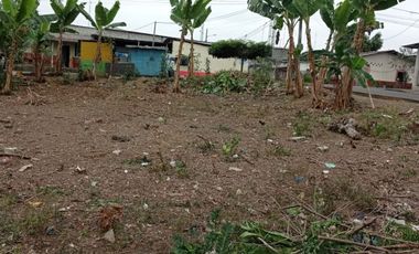 SE VENDE HERMOSO LOTE DE TERRENO 635,04 M2. QUINSALOMA - LOS RIOS - ECUADOR