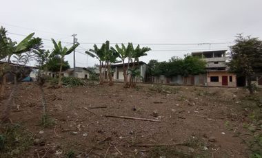 SE VENDE HERMOSO LOTE DE TERRENO 635,04 M2. QUINSALOMA - LOS RIOS - ECUADOR