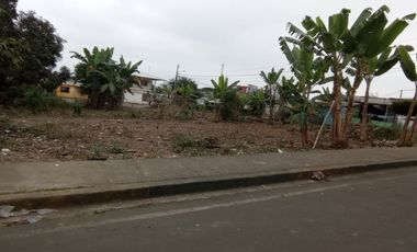 SE VENDE HERMOSO LOTE DE TERRENO 635,04 M2. QUINSALOMA - LOS RIOS - ECUADOR