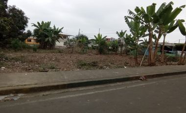 SE VENDE HERMOSO LOTE DE TERRENO 635,04 M2. QUINSALOMA - LOS RIOS - ECUADOR