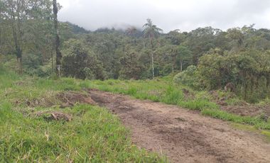 🌿 LOTIZACIÓN EN VENTA – VÍA A MINDO, A POCOS KILÓMETROS DE MINDO 🌿