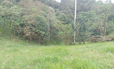 🌿 LOTIZACIÓN EN VENTA – VÍA A MINDO, A POCOS KILÓMETROS DE MINDO 🌿