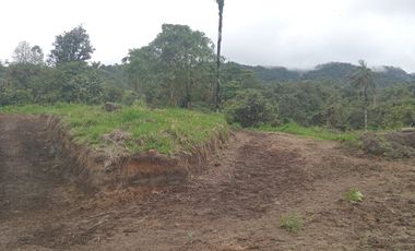 🌿 LOTIZACIÓN EN VENTA – VÍA A MINDO, A POCOS KILÓMETROS DE MINDO 🌿