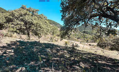 TERRENO EN LA SIERRA DE STA ROSA, GUANAJUATO
