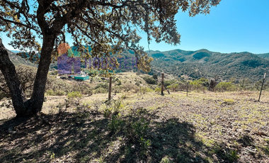 TERRENO EN LA SIERRA DE STA ROSA, GUANAJUATO