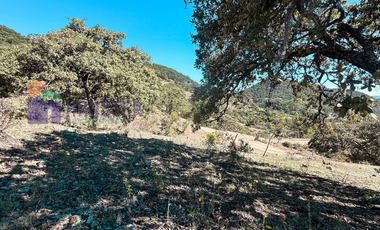 TERRENO EN LA SIERRA DE STA ROSA, GUANAJUATO