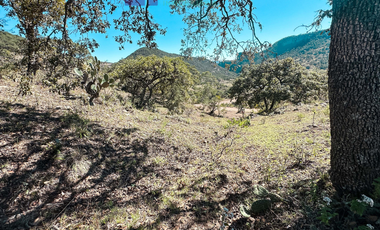 TERRENO EN LA SIERRA DE STA ROSA, GUANAJUATO