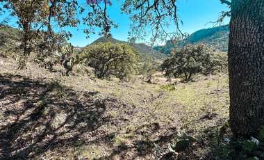 TERRENO EN LA SIERRA DE STA ROSA, GUANAJUATO