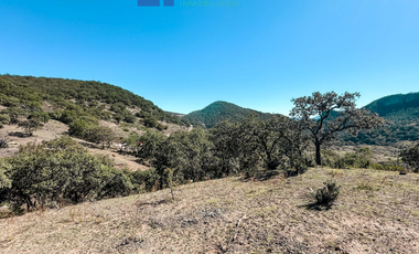 TERRENO EN LA SIERRA DE STA ROSA, GUANAJUATO