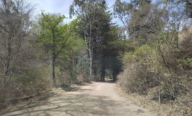 TERRENO EN LA SIERRA DE STA ROSA, GUANAJUATO