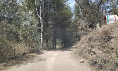 TERRENO EN LA SIERRA DE STA ROSA, GUANAJUATO