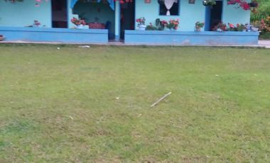 Venta Finca Agrícola Santo Domingo Antioquia