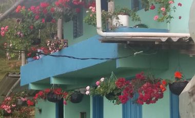 Venta Finca Agrícola Santo Domingo Antioquia