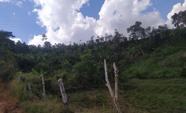 Venta Finca Agrícola Santo Domingo Antioquia