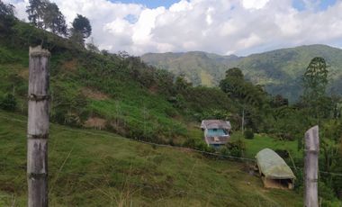 Venta Finca Agrícola Santo Domingo Antioquia