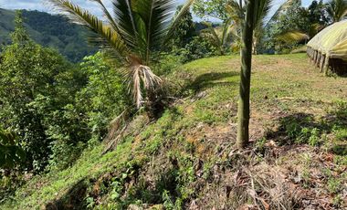 Venta Finca Agrícola Maceo Antioquia