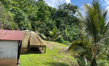 Venta Finca Agrícola Maceo Antioquia