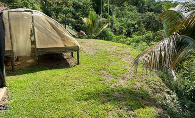 Venta Finca Agrícola Maceo Antioquia