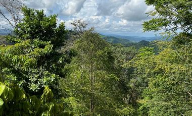 Venta Finca Agrícola Maceo Antioquia