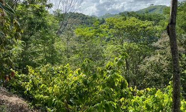 Venta Finca Agrícola Maceo Antioquia