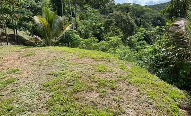 Venta Finca Agrícola Maceo Antioquia