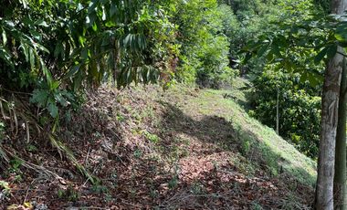 Venta Finca Agrícola Maceo Antioquia