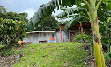 Venta Finca Agrícola Maceo Antioquia