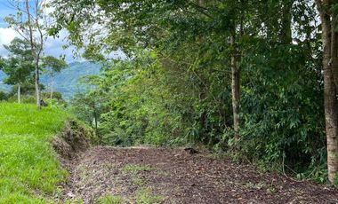 Venta Finca Agrícola Maceo Antioquia