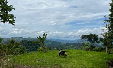 Venta Finca Agrícola Maceo Antioquia