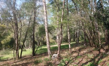 Parcelas Parque Nereo ubicadas cerca de Hualqui y a un paso de Concepción
