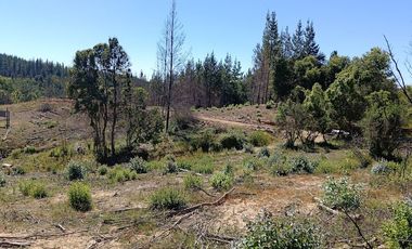 Parcelas Parque Nereo ubicadas cerca de Hualqui y a un paso de Concepción