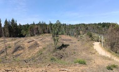 Parcelas Parque Nereo ubicadas cerca de Hualqui y a un paso de Concepción